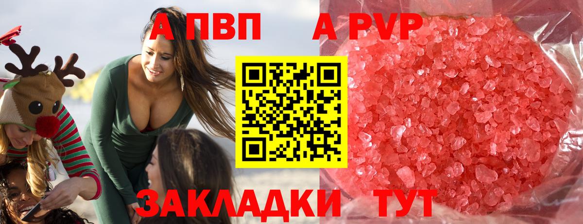 Alfa_PVP СК КРИС Кимры