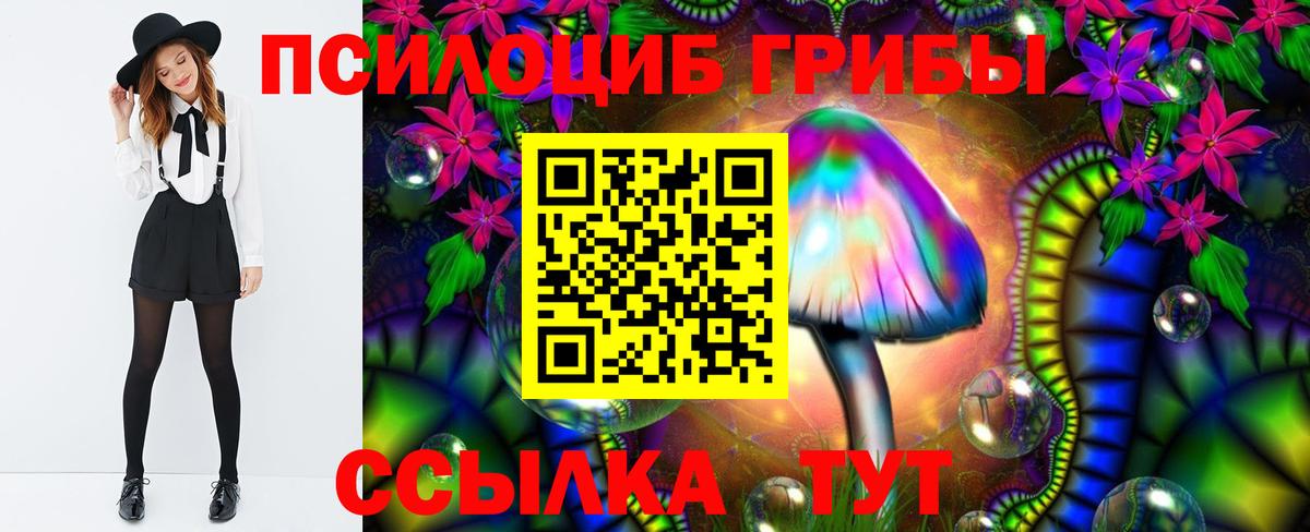 Галлюциногенные грибы Cubensis Кимры