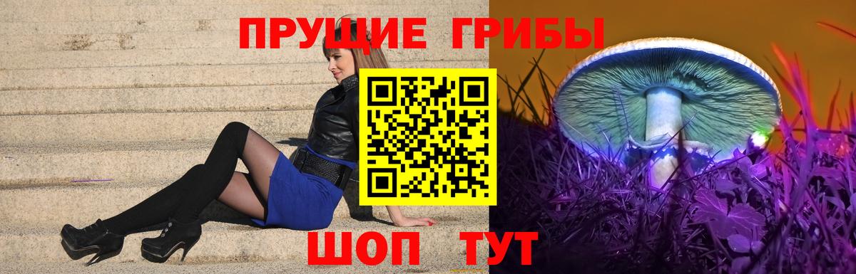 Кимры  Галлюциногенные грибы ЛСД  Псилоцибиновые грибы MAGIC MUSHROOMS  Вход с VPN 